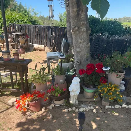 Casa Kintsugi Kamp alanı Masquefa
